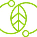 Бумажная упаковка Устойчивые инновации